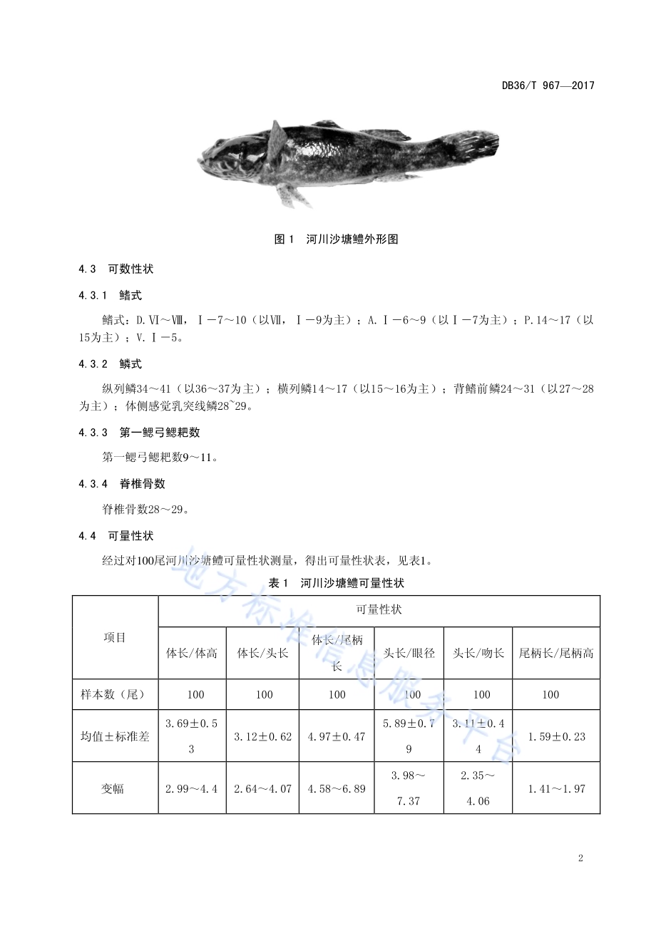 河川沙塘鳢DB36／T 967-2017.pdf_第5页
