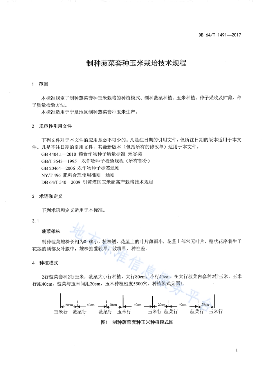 制种菠菜套种玉米栽培技术规程DB64／T 1491-2017.pdf_第5页