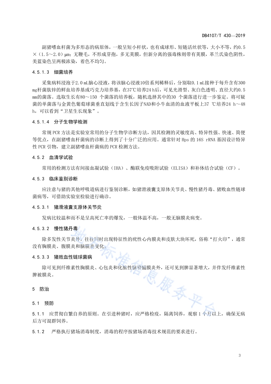 副猪嗜血杆菌防治技术规范DB4107／T 430-2019.pdf_第5页