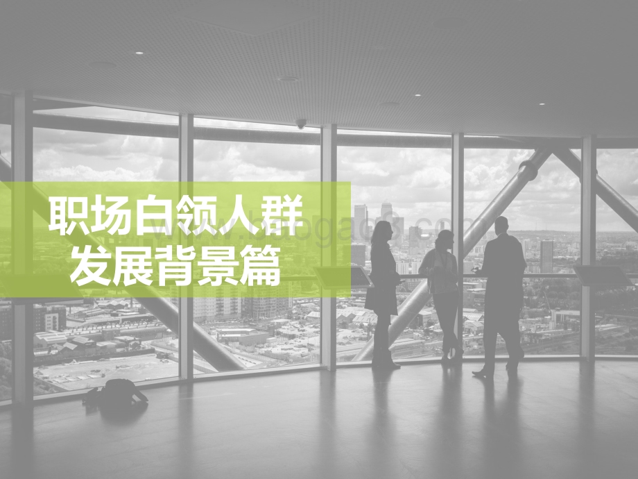 2021811_艾瑞咨询_2021年中国白领人群消费及职场社交研究报告（45页）.pdf_第4页