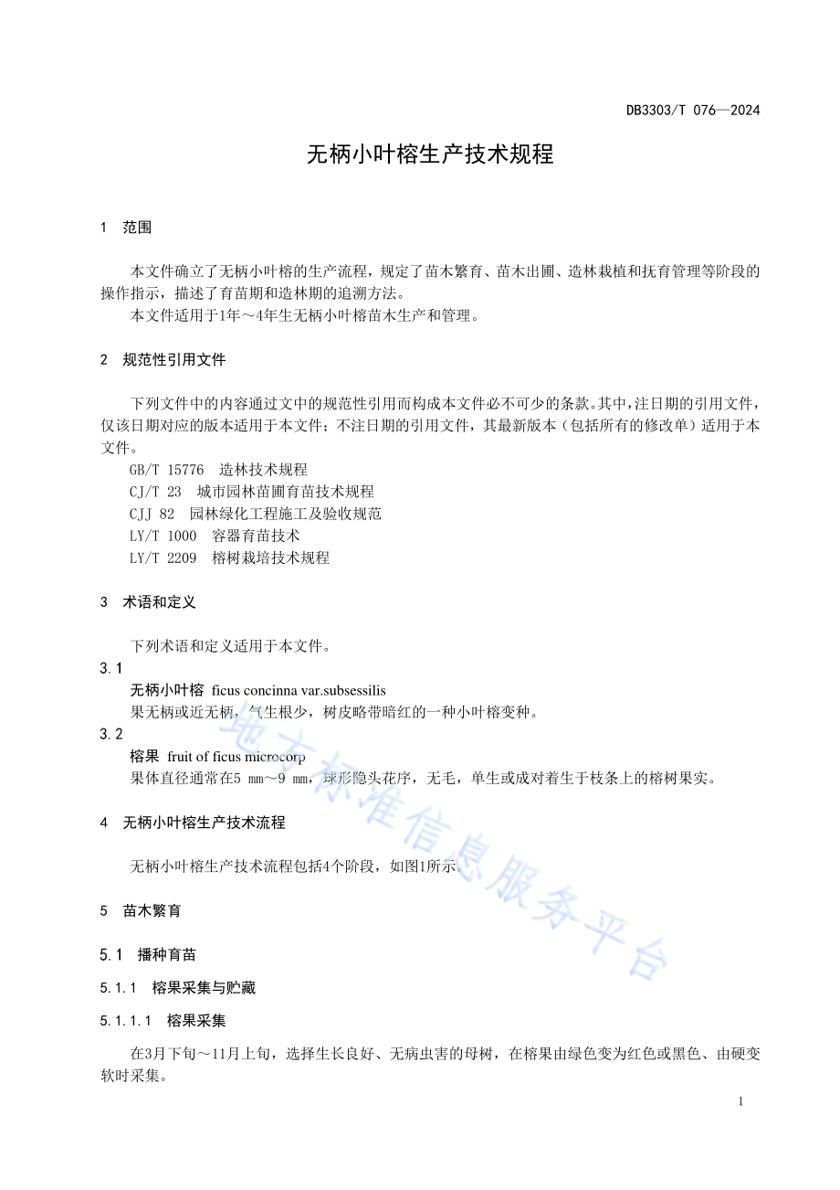 无柄小叶榕生产技术规程DB3303／T076-2024.pdf_第5页