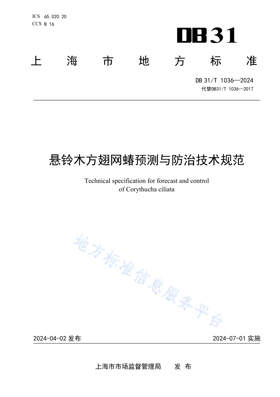 悬铃木方翅网蝽预测与防治技术规范DB31／T 1036-2024.pdf_第1页