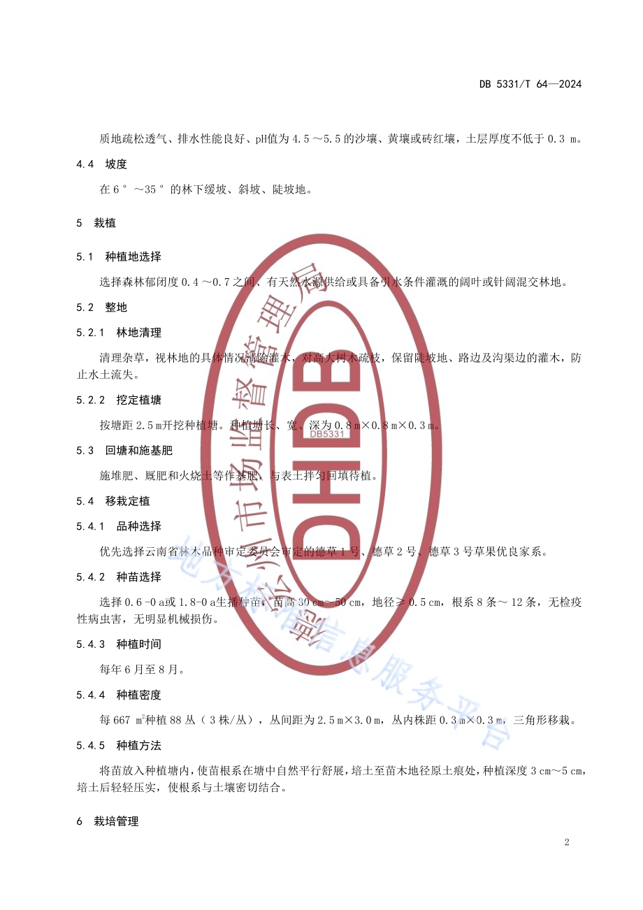 德宏州草果栽培技术规程DB5331／T 64-2024.pdf_第5页
