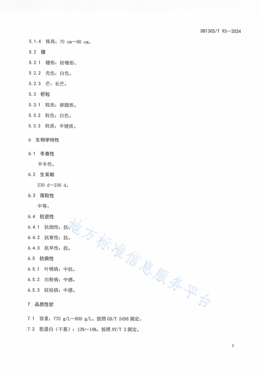冬小麦品种 邢麦26DB1305／T 93-2024.pdf_第4页