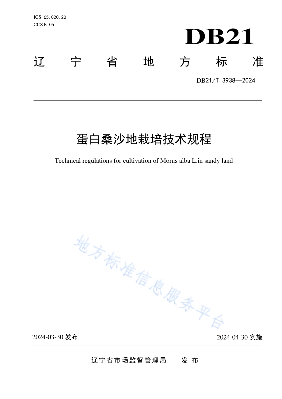 蛋白桑沙地栽培技术规程DB21／T 3938-2024.pdf_第1页