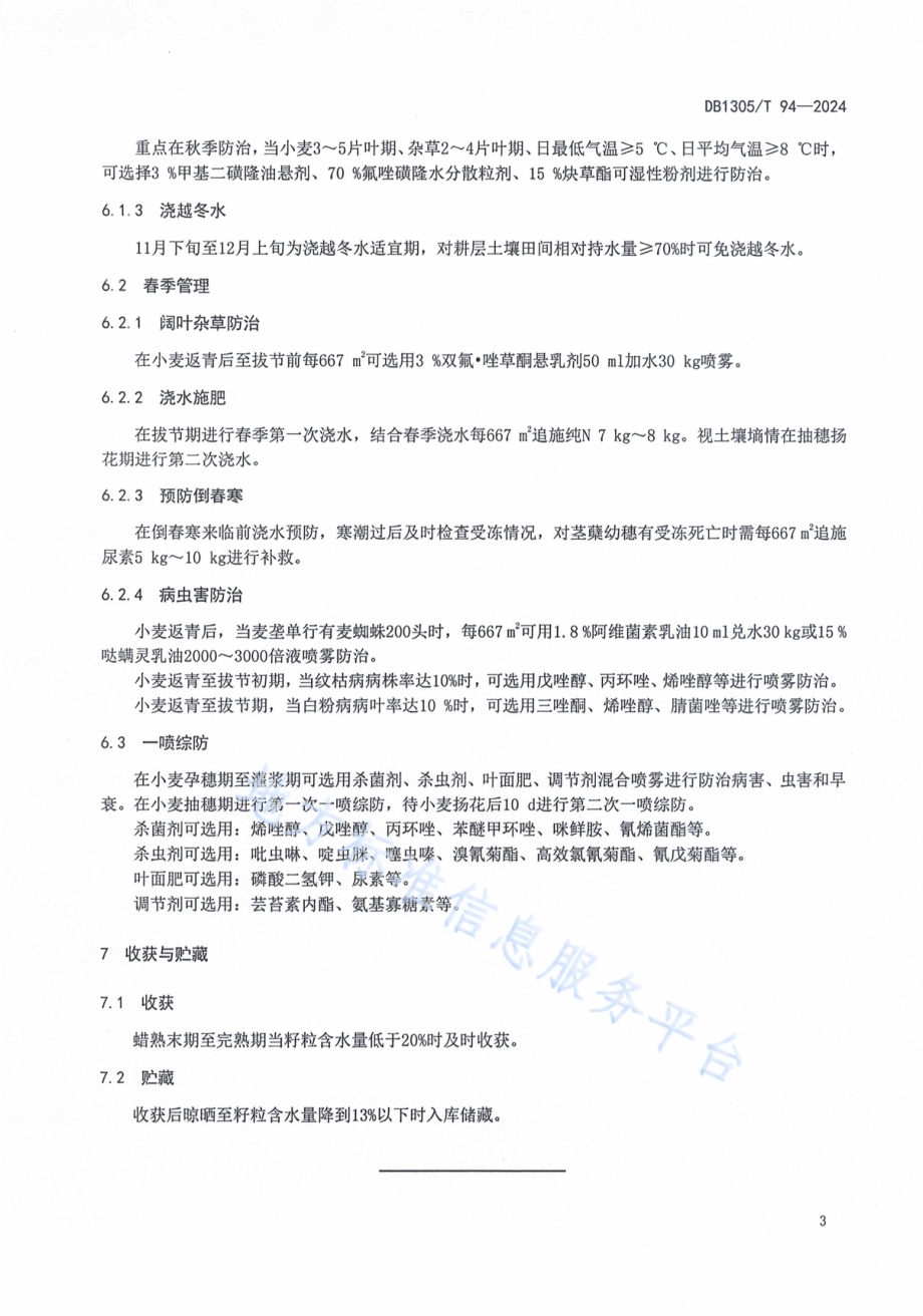 邢麦26小麦生产技术规程DB1305／T 94-2024.pdf_第5页