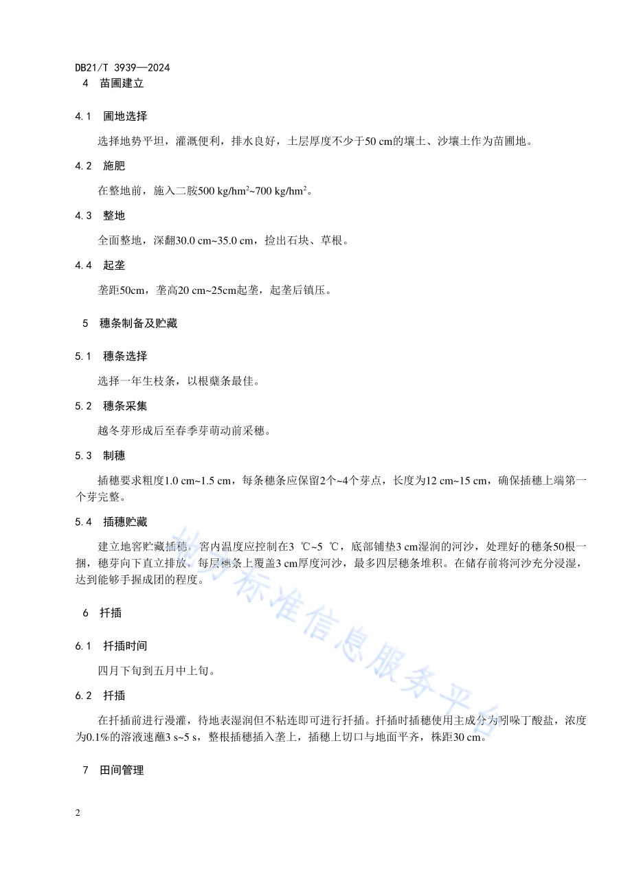 银中杨扦插育苗技术规程DB21／T 3939-2024.pdf_第5页