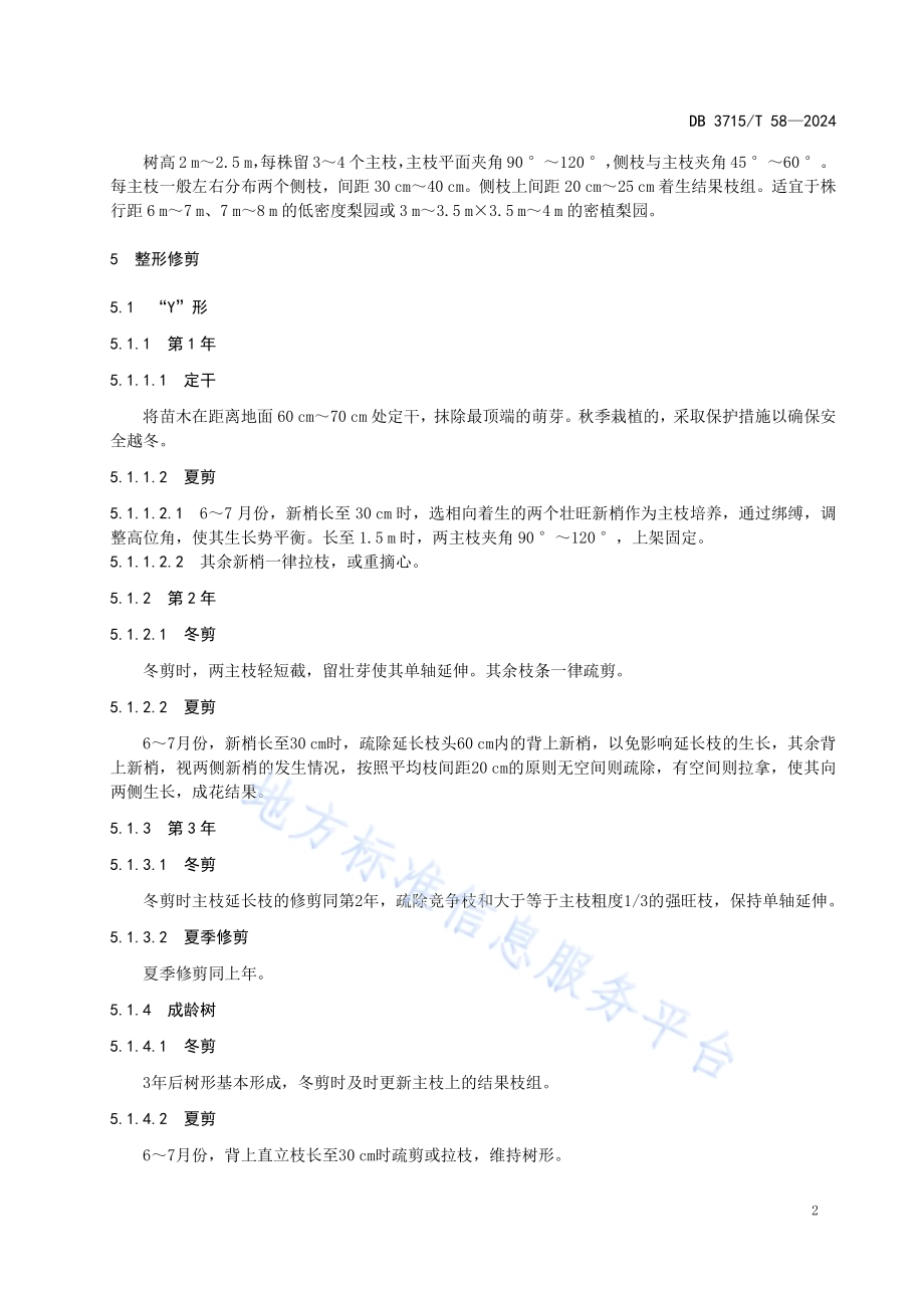 秋月梨整形修剪技术规程DB3715／T 58-2024.pdf_第4页