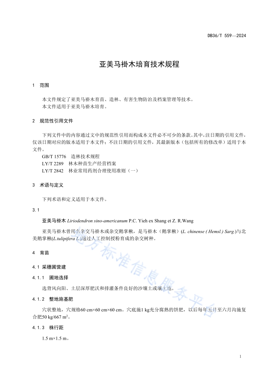 亚美马褂木培育技术规程DB36／T 559-2024.pdf_第5页