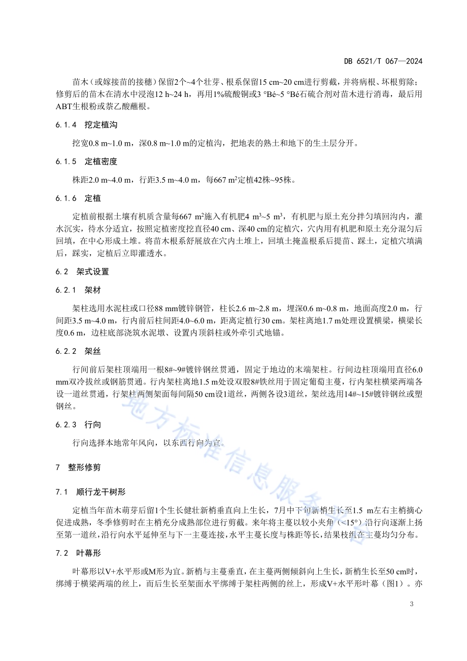 顺行龙干葡萄栽培技术规程DB6521／T 067-2024.pdf_第5页