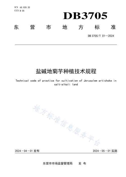 盐碱地菊芋种植技术规程DB 3705／T 01-2024.pdf