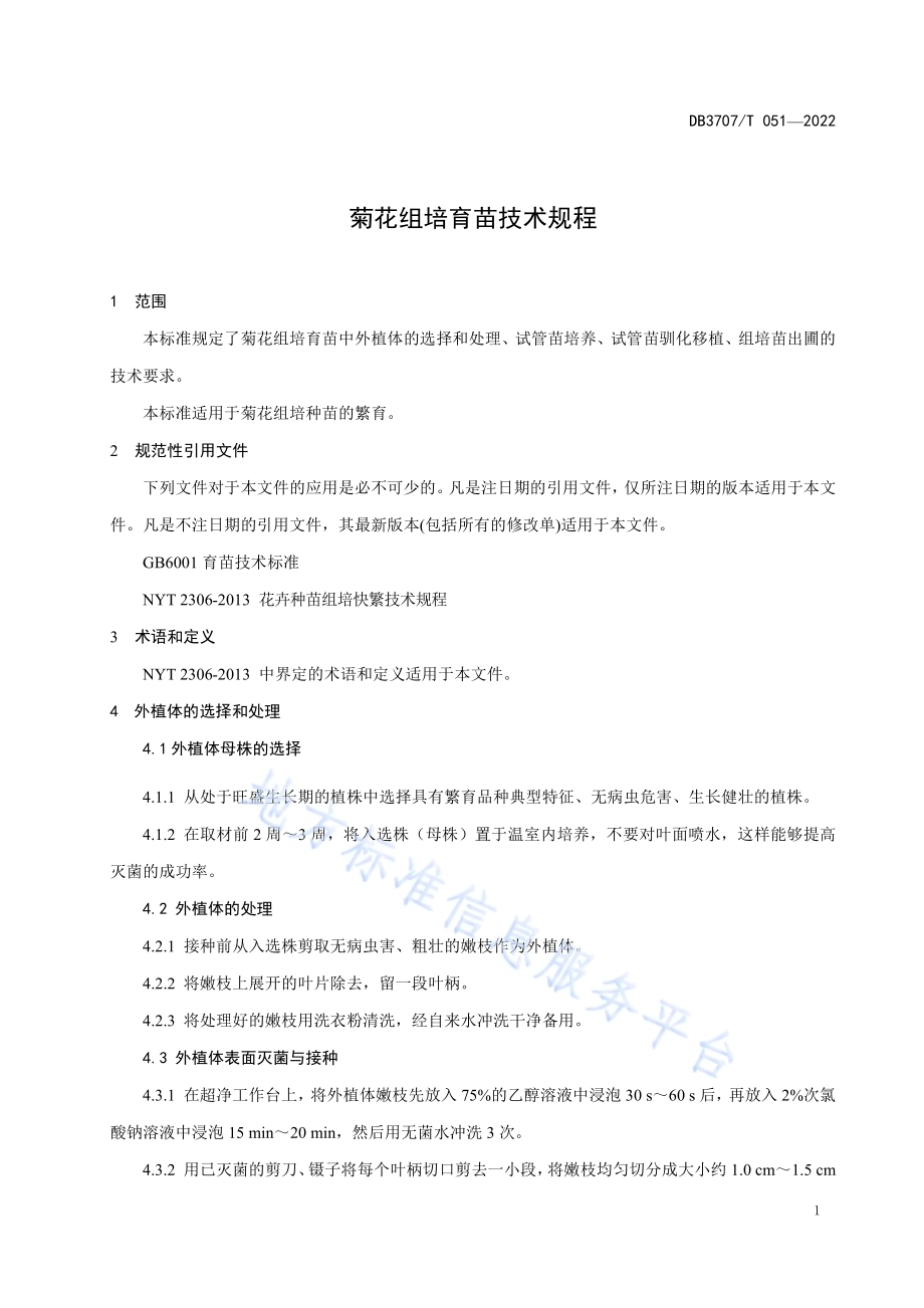 菊花组培育苗技术规程DB3707／T 051-2022.pdf_第5页