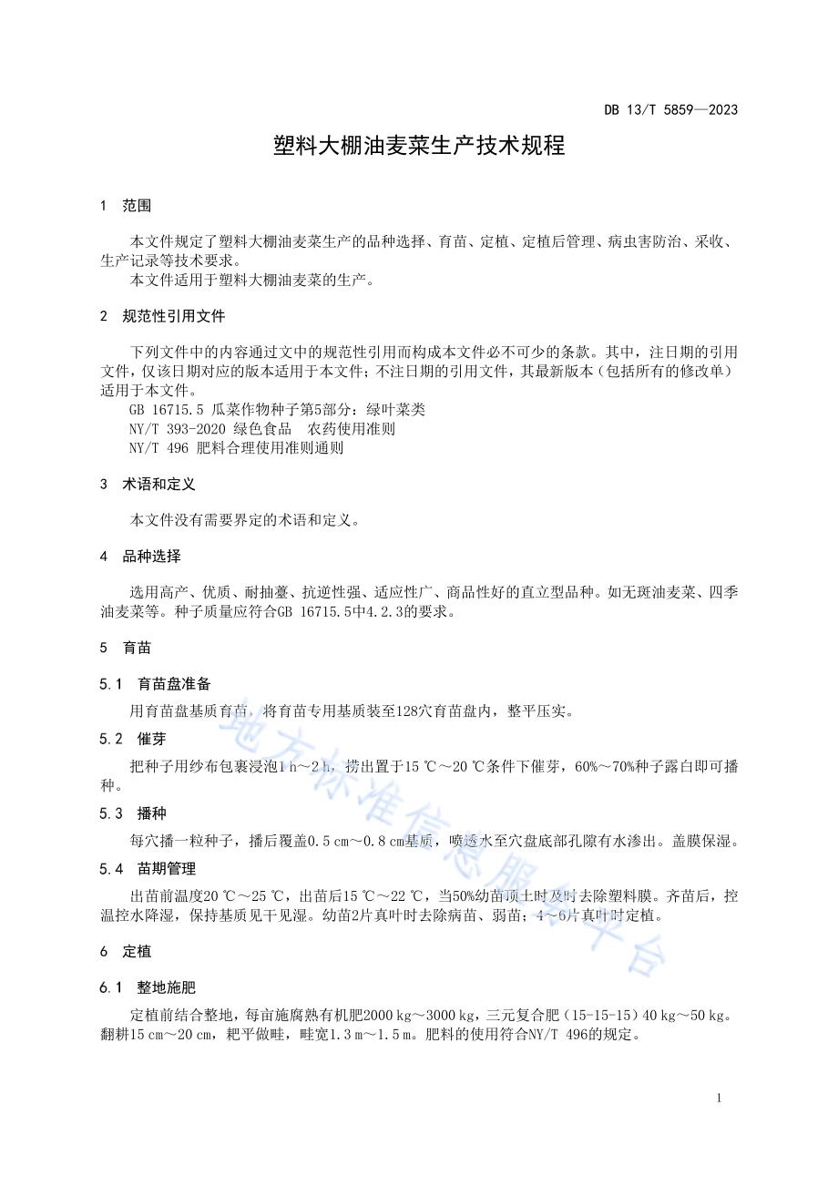 塑料大棚油麦菜生产技术规程DB13／T 5859-2023.pdf_第5页