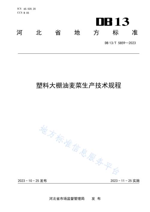 塑料大棚油麦菜生产技术规程DB13／T 5859-2023.pdf