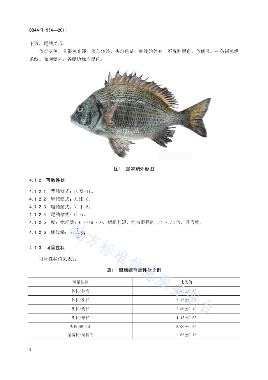 黑棘鲷DB44／T 954-2011.pdf_第4页