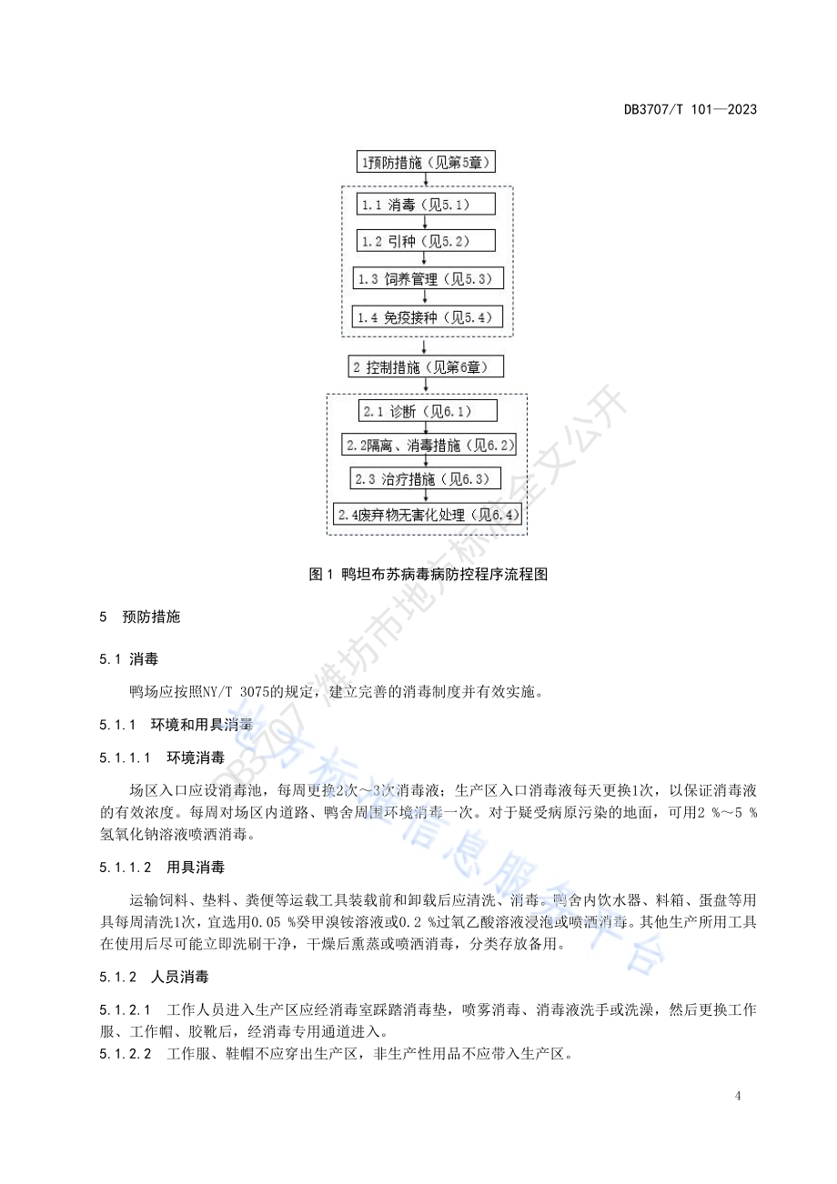 规模化鸭场坦布苏病毒病防控技术规程DB3707／T 101-2023.pdf_第5页