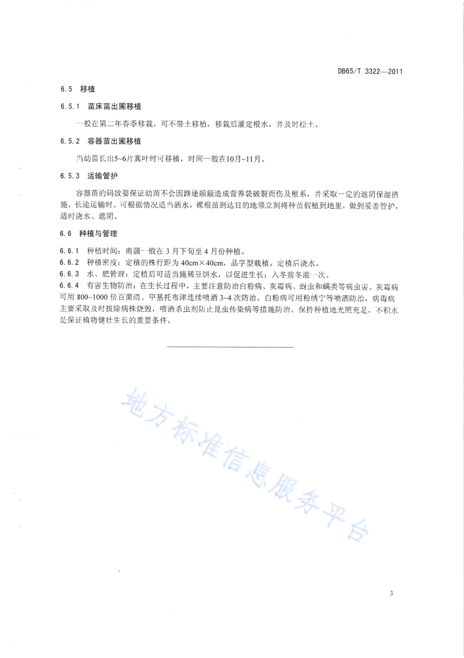 黄花矶松种植技术规程DB65／T 3322-2011.pdf_第5页