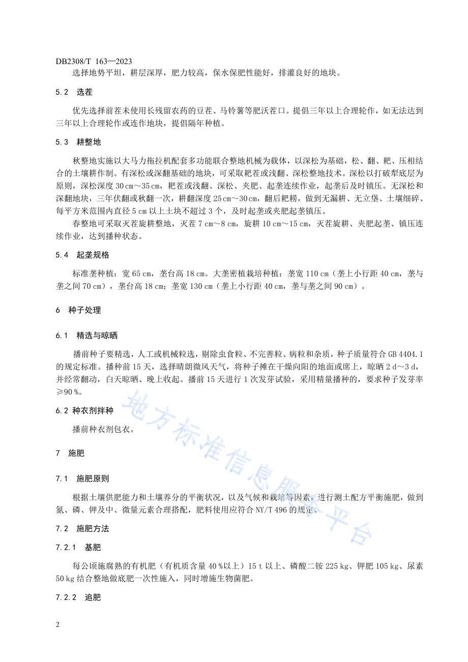玉米单交种合玉117生产技术规程DB2308／T 163-2023.pdf_第4页