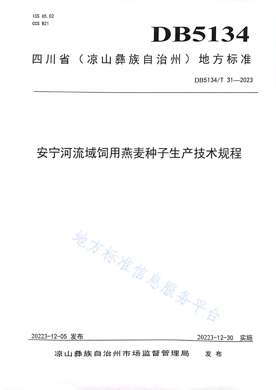 安宁河流域饲用燕麦种子生产技术规程DB5134／T 31-2023.pdf_第1页