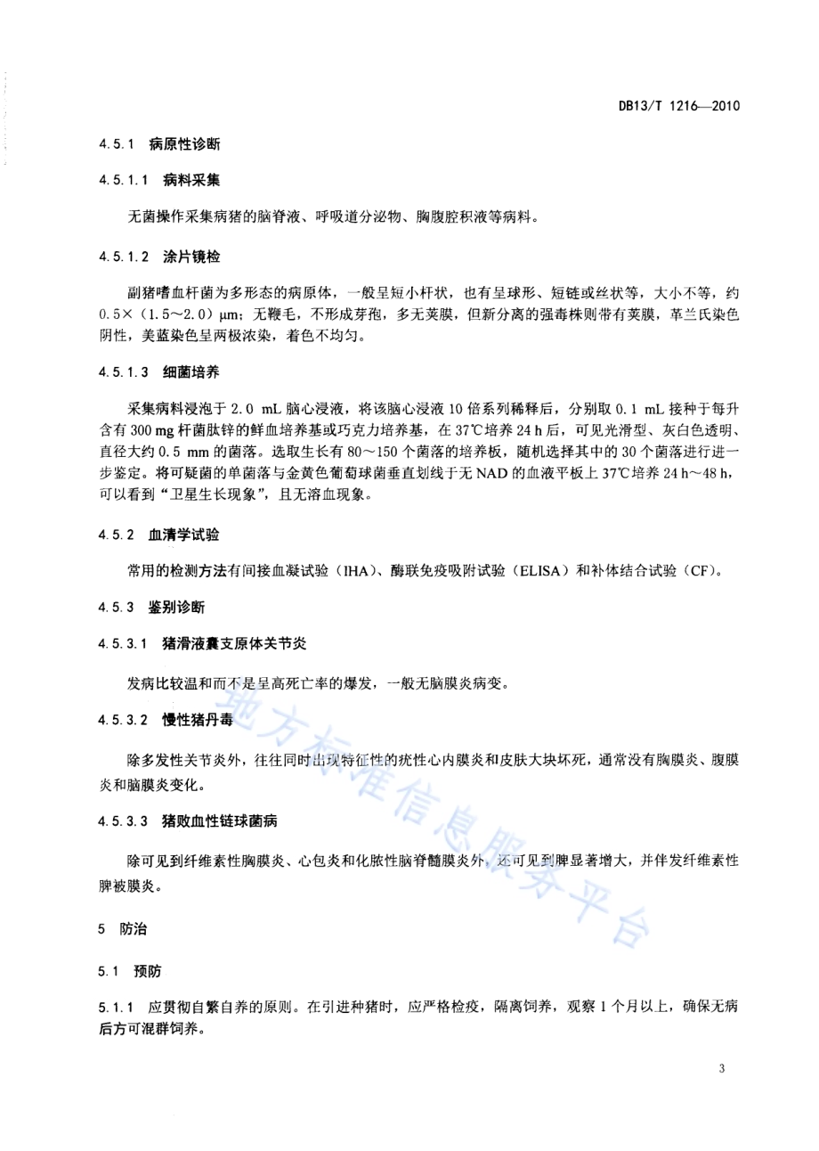 副猪嗜血杆菌病防治技术规程DB13／T 1216-2010.pdf_第5页
