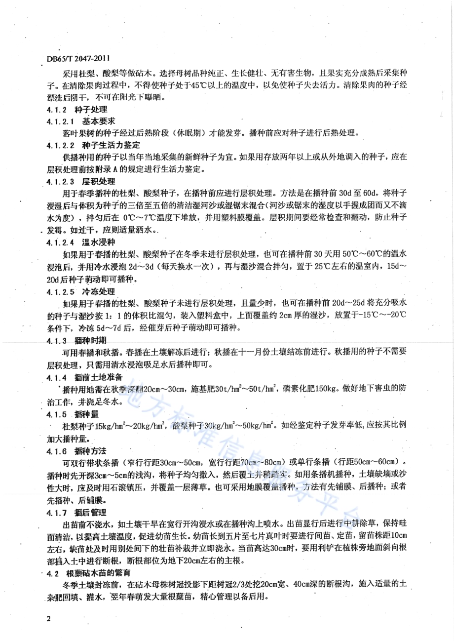 库尔勒香梨育苗技术规程DB65／T 2047-2011.pdf_第4页