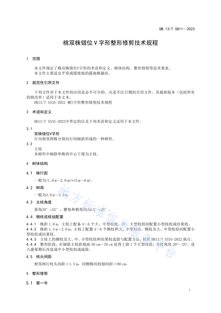 桃双株错位 V 字形整形修剪技术规程DB13／T 5811-2023.pdf_第5页