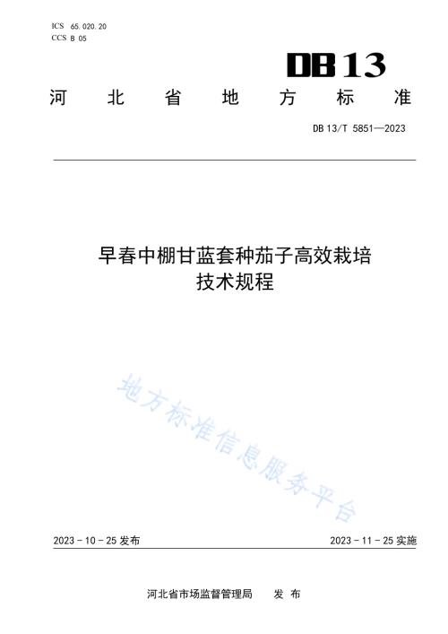 早春中棚甘蓝套种茄子高效栽培技术规程DB13／T 5851-2023.pdf