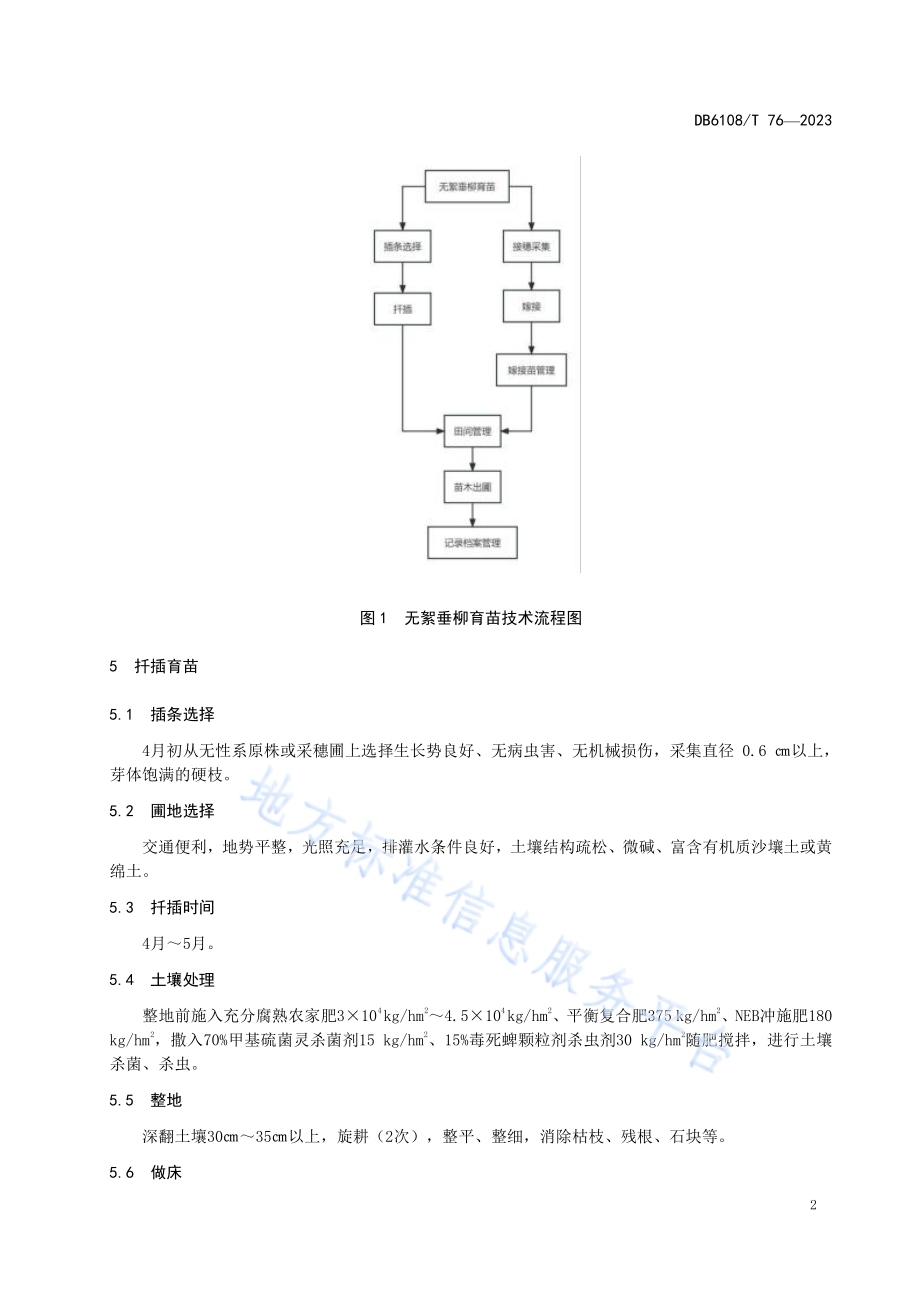 无絮垂柳育苗技术规程DB 6108／T 76—2023.pdf_第4页
