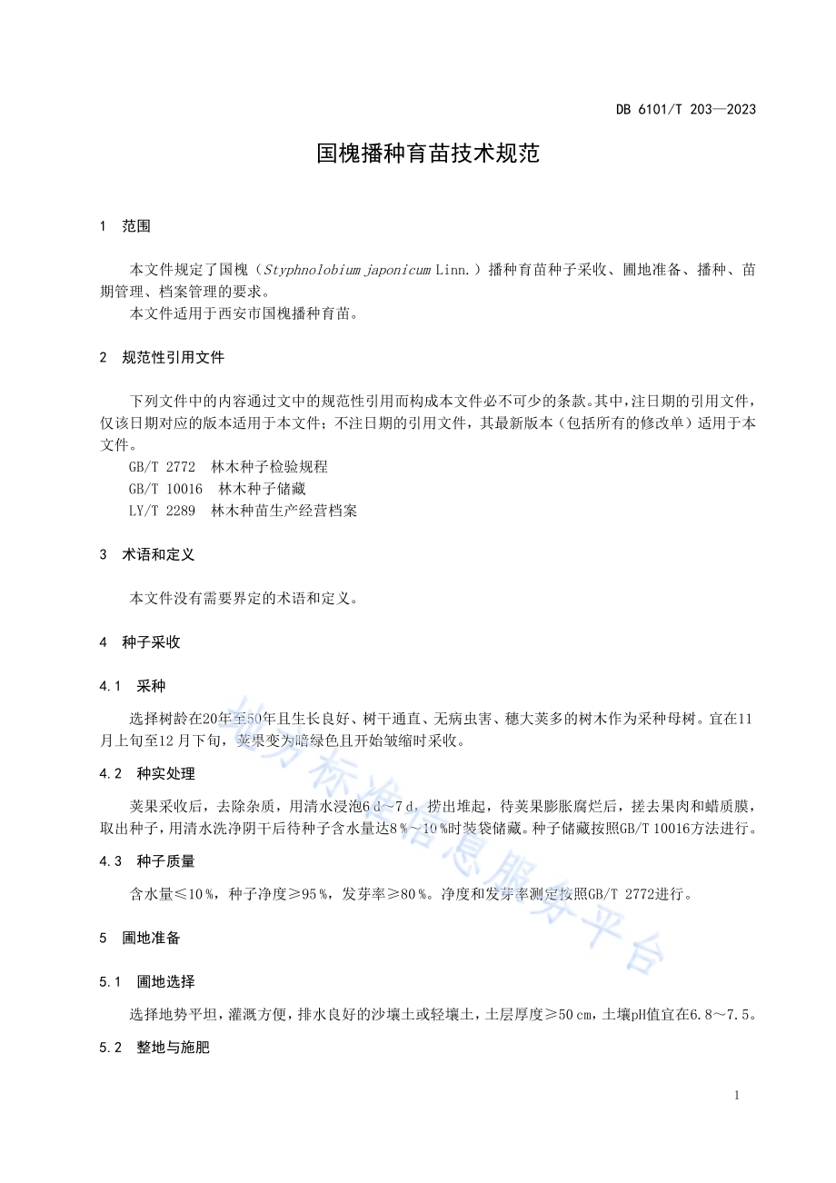 国槐播种育苗技术规范DB6101／T 203-2023.pdf_第5页