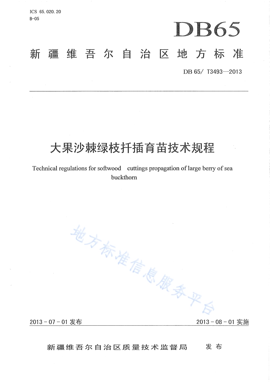 大果沙棘绿枝扦插育苗技术规程DB65／T 3493-2013.pdf_第1页