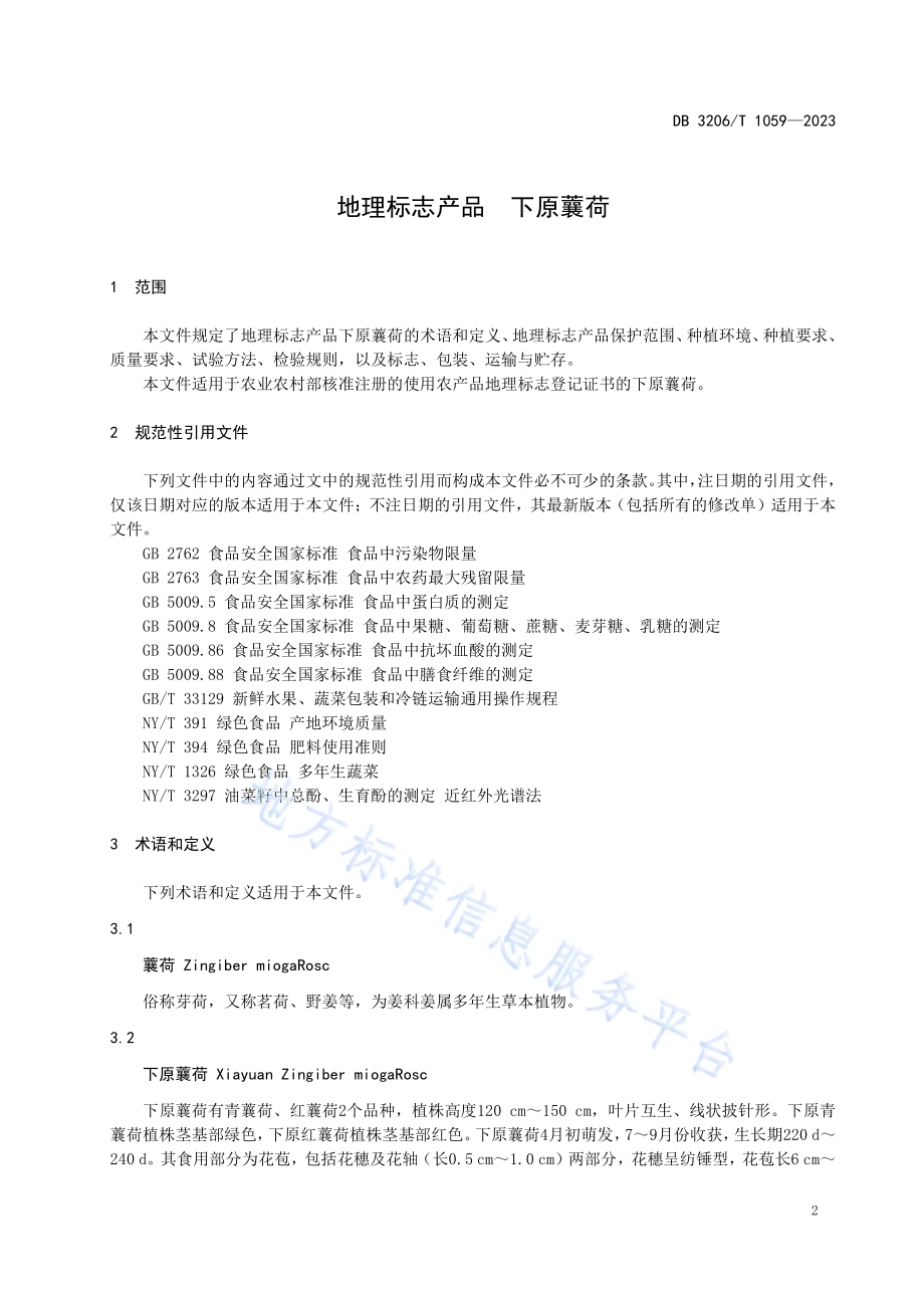 地理标志产品 下原蘘荷DB3206／T 1059-2023.pdf_第3页