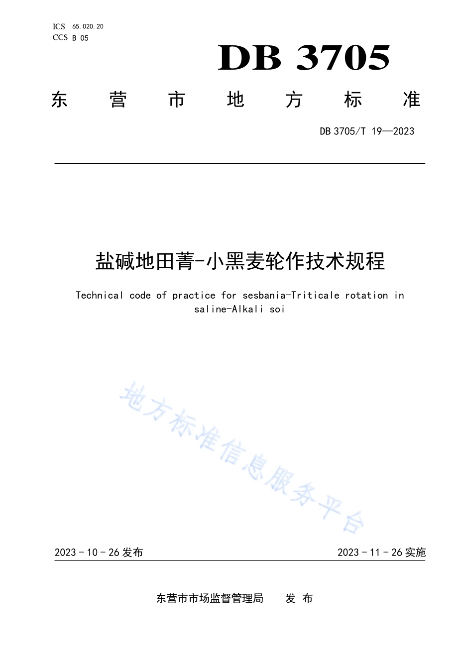 盐碱地田菁-小黑麦轮作技术规程DB 3705／T 19-2023.pdf_第1页