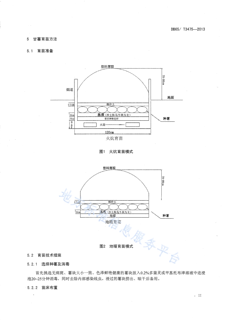 甘薯育苗技术规程DB65／T 3475-2013.pdf_第4页