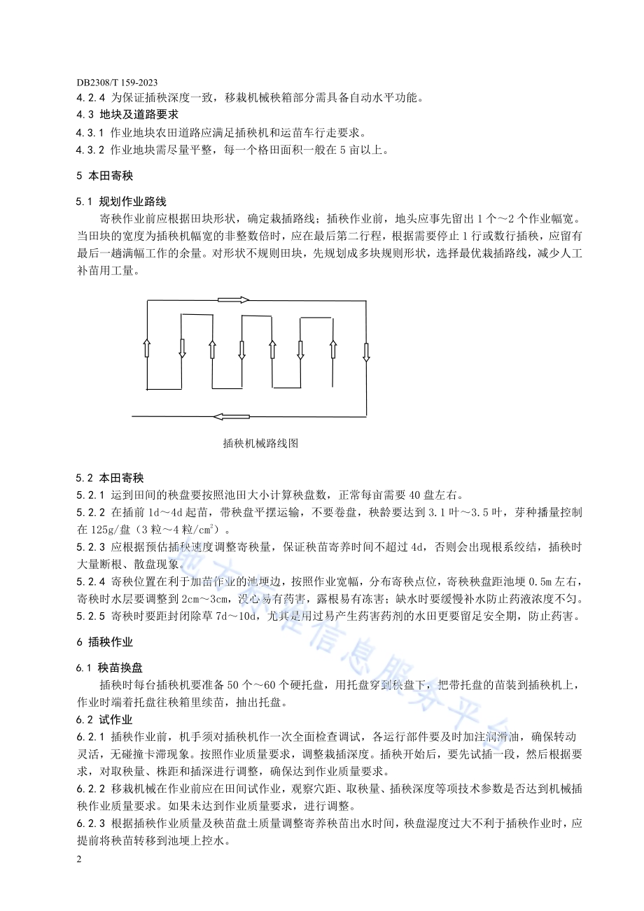 水稻机械插秧前本田寄秧技术规程DB2308／T 159-2023.pdf_第4页