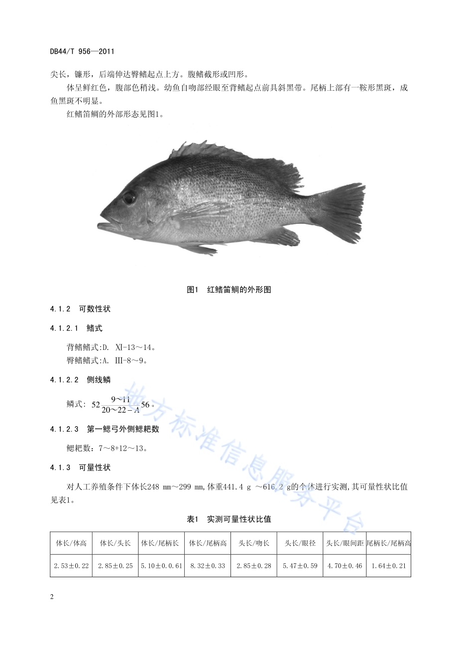 红鳍笛鲷DB44／T 956-2011.pdf_第4页