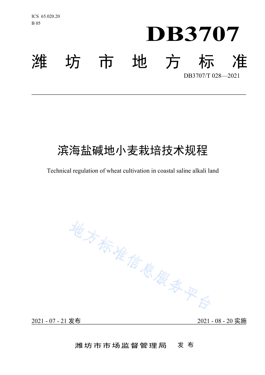 滨海盐碱地小麦栽培技术规程DB3707／T 28-2021.pdf_第1页