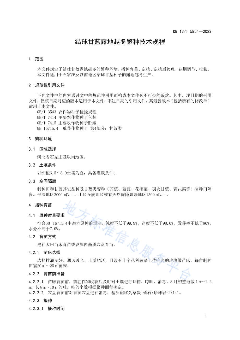 结球甘蓝露地越冬繁种技术规程DB13／T 5854-2023.pdf_第5页