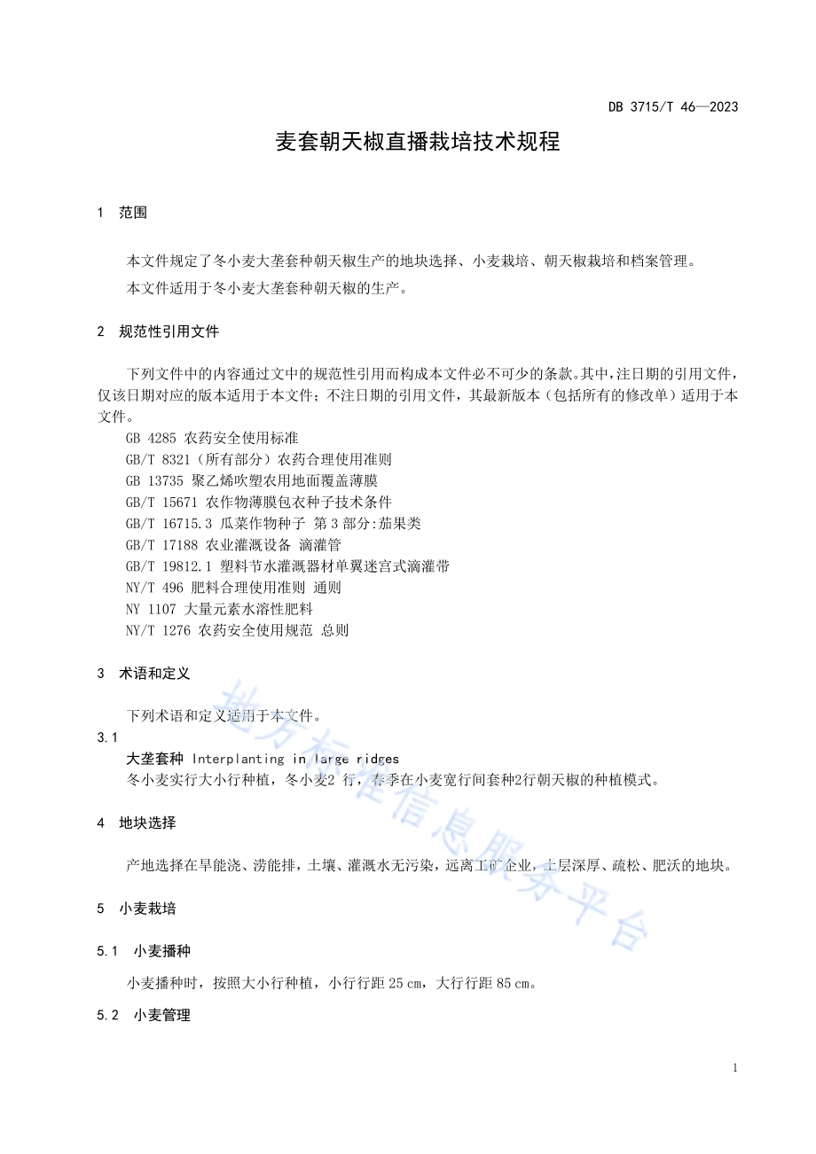 麦套朝天椒直播栽培技术规程DB3715／T 46-2023.pdf_第3页