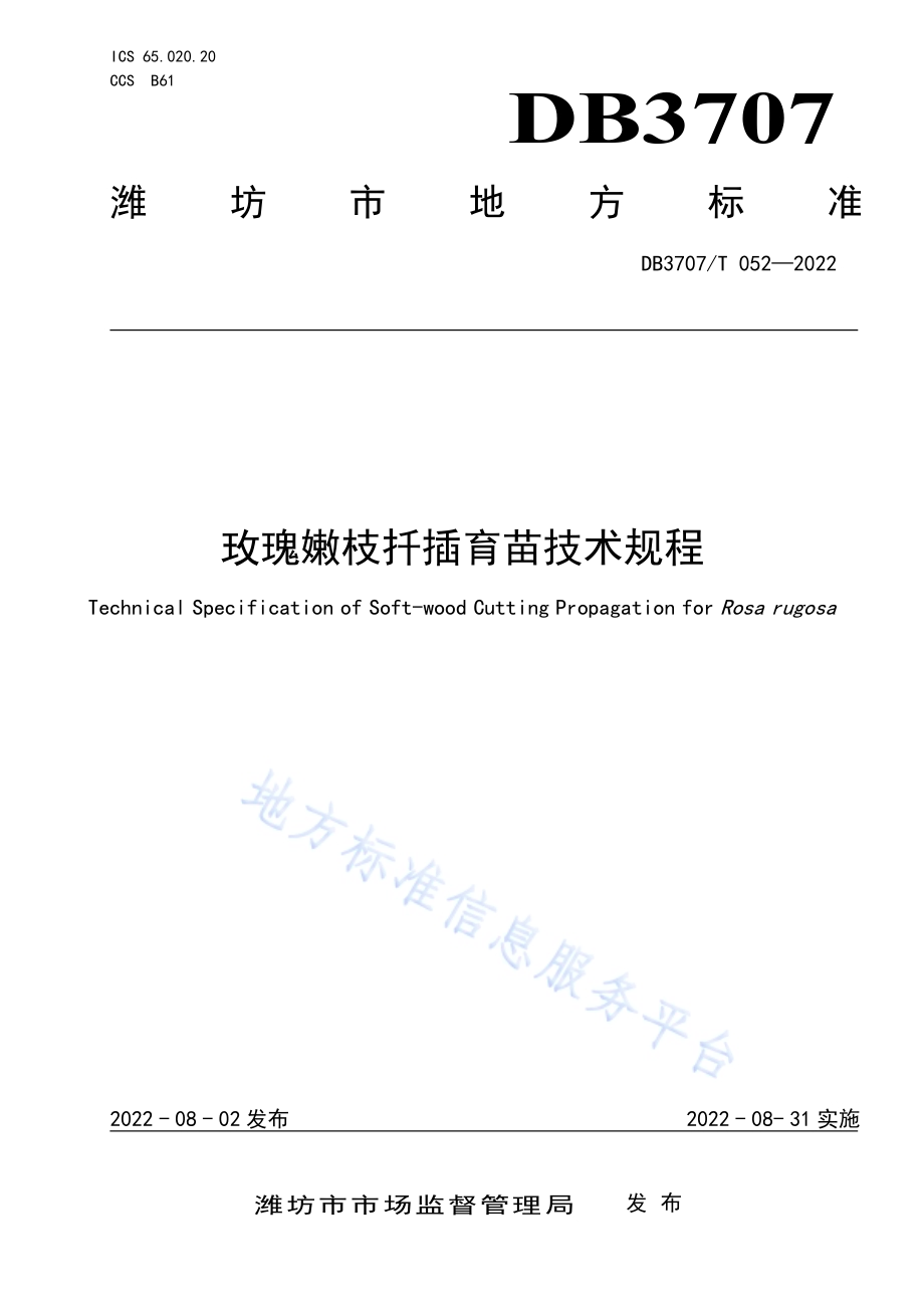 玫瑰嫩枝扦插育苗技术规程DB3707／T 052-2022.pdf_第1页