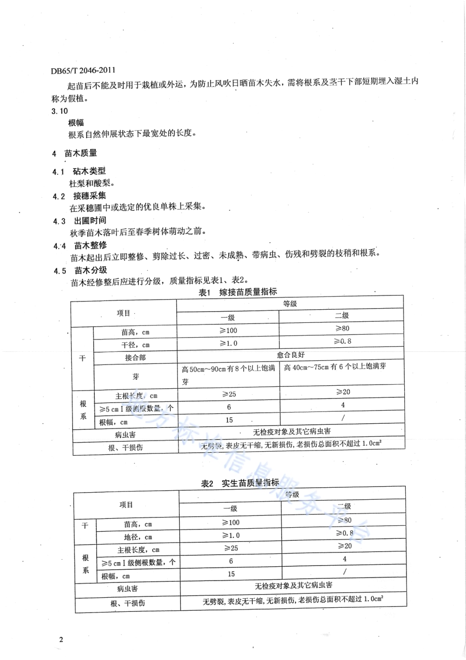 库尔勒香梨苗木DB65／T 2046-2011.pdf_第4页