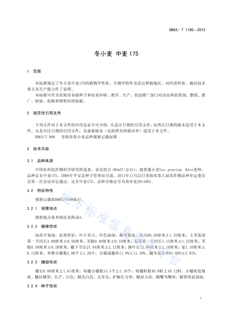 冬小麦 中麦175DB63／T 1100-2012.pdf_第3页