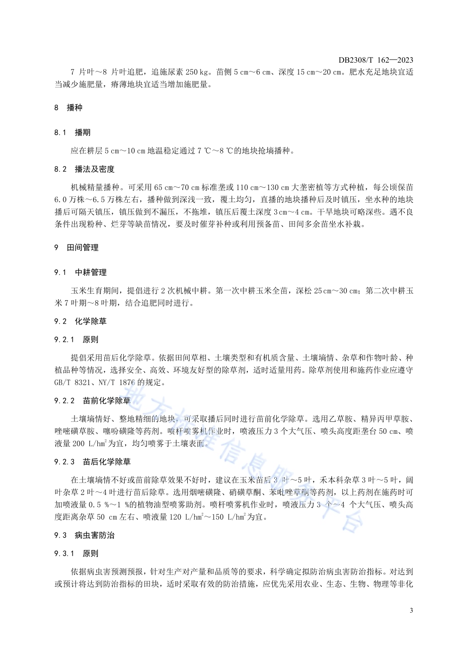 玉米单交种合玉39生产技术规程DB2308／T 162-2023.pdf_第5页