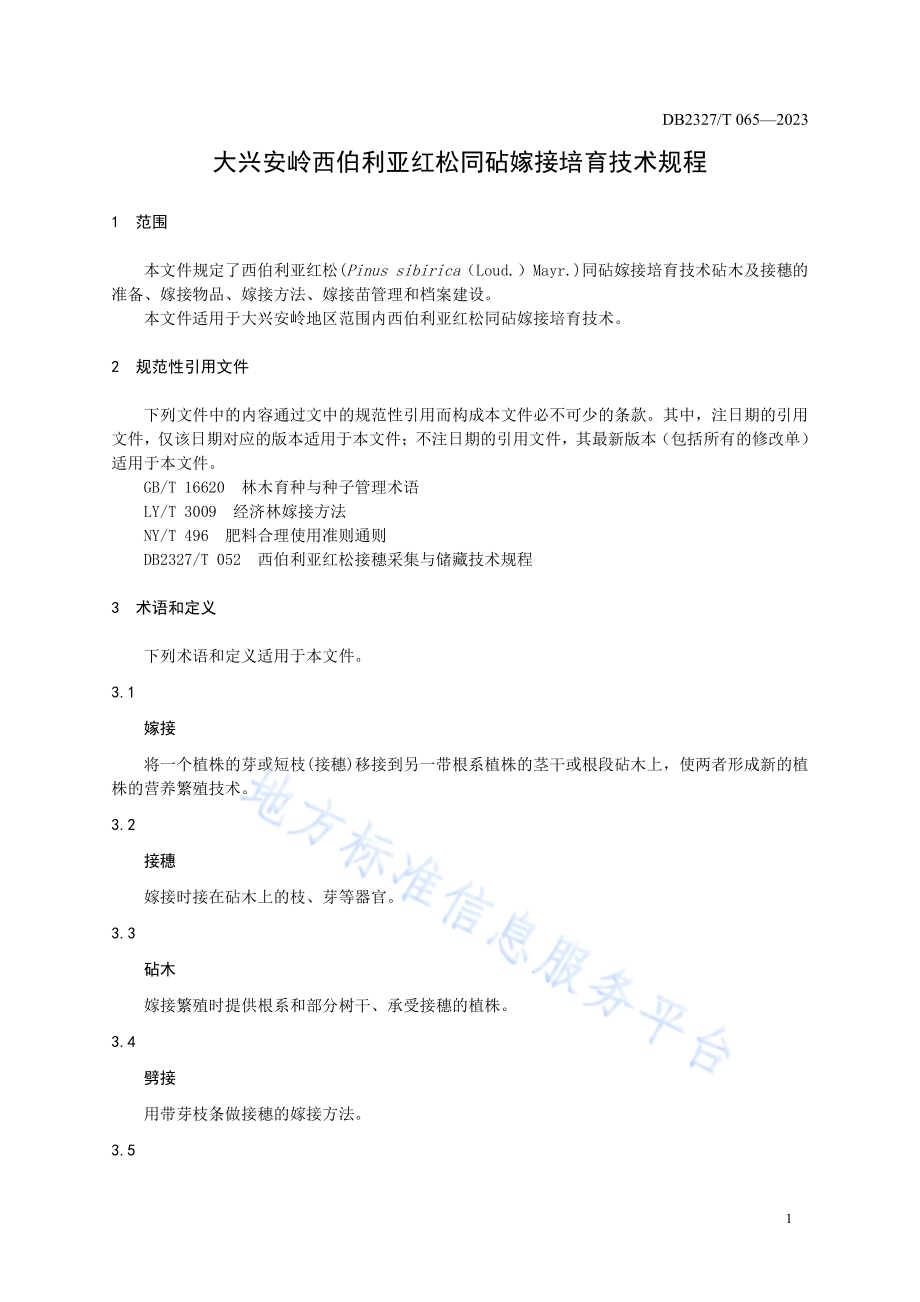 大兴安岭西伯利亚红松同砧嫁接培育技术规程DB2327／T 065-2023.pdf_第3页