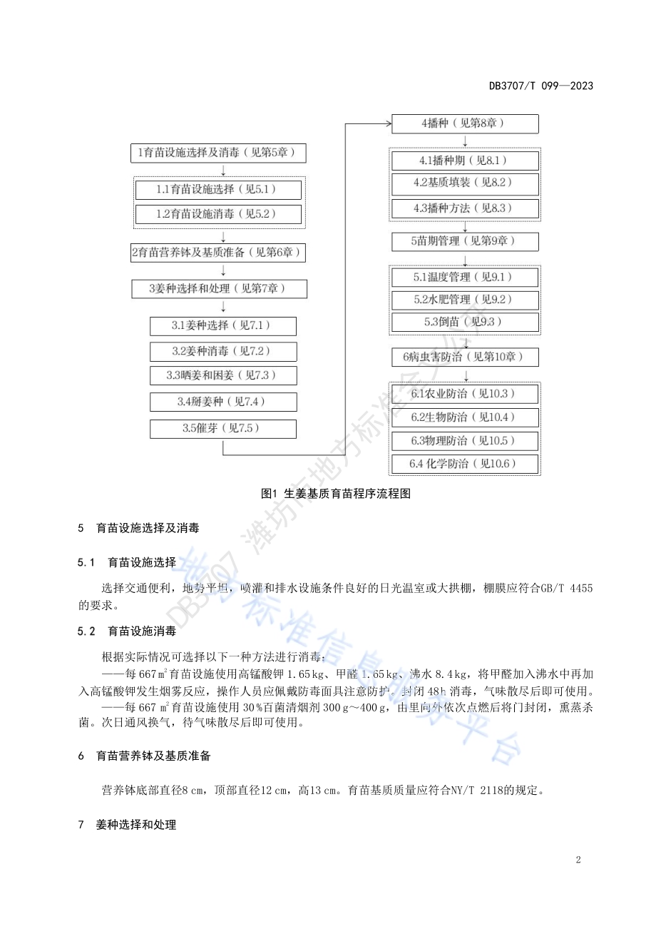 生姜基质育苗技术规程DB3707／T 099-2023.pdf_第4页
