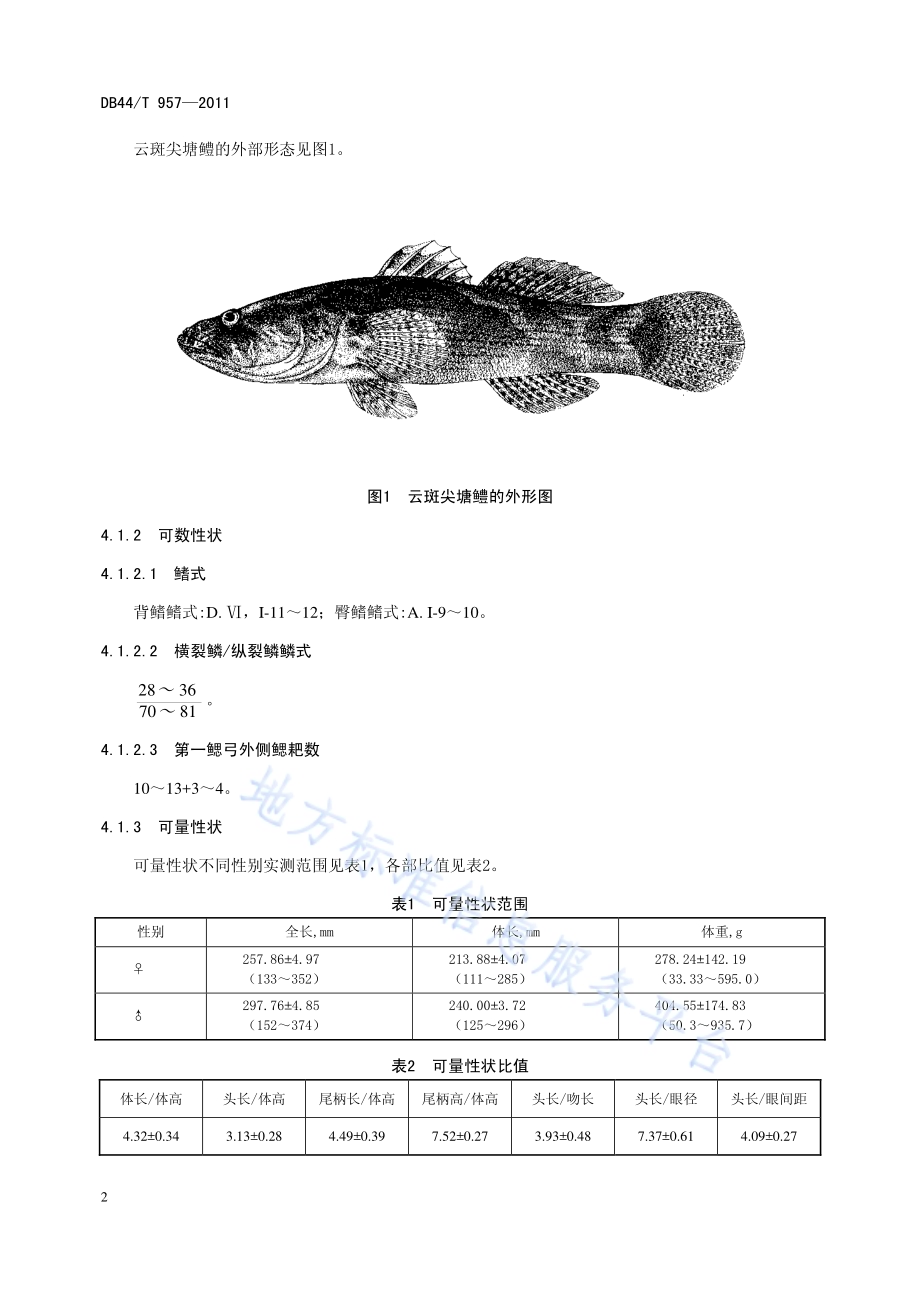 云斑尖塘鳢DB44／T 957-2011.pdf_第4页