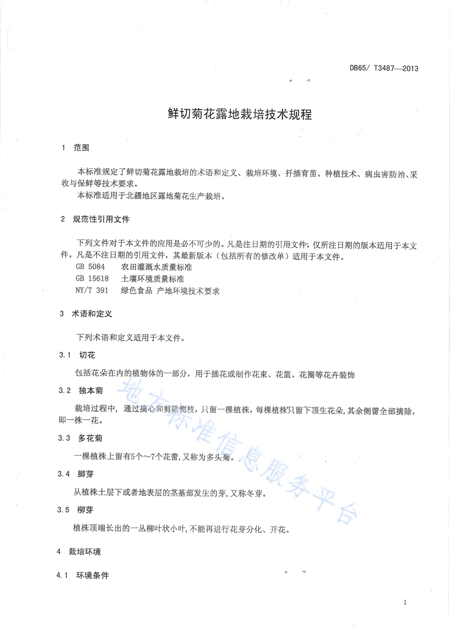 鲜切菊花露地栽培技术规程DB65／T 3487-2013.pdf_第3页