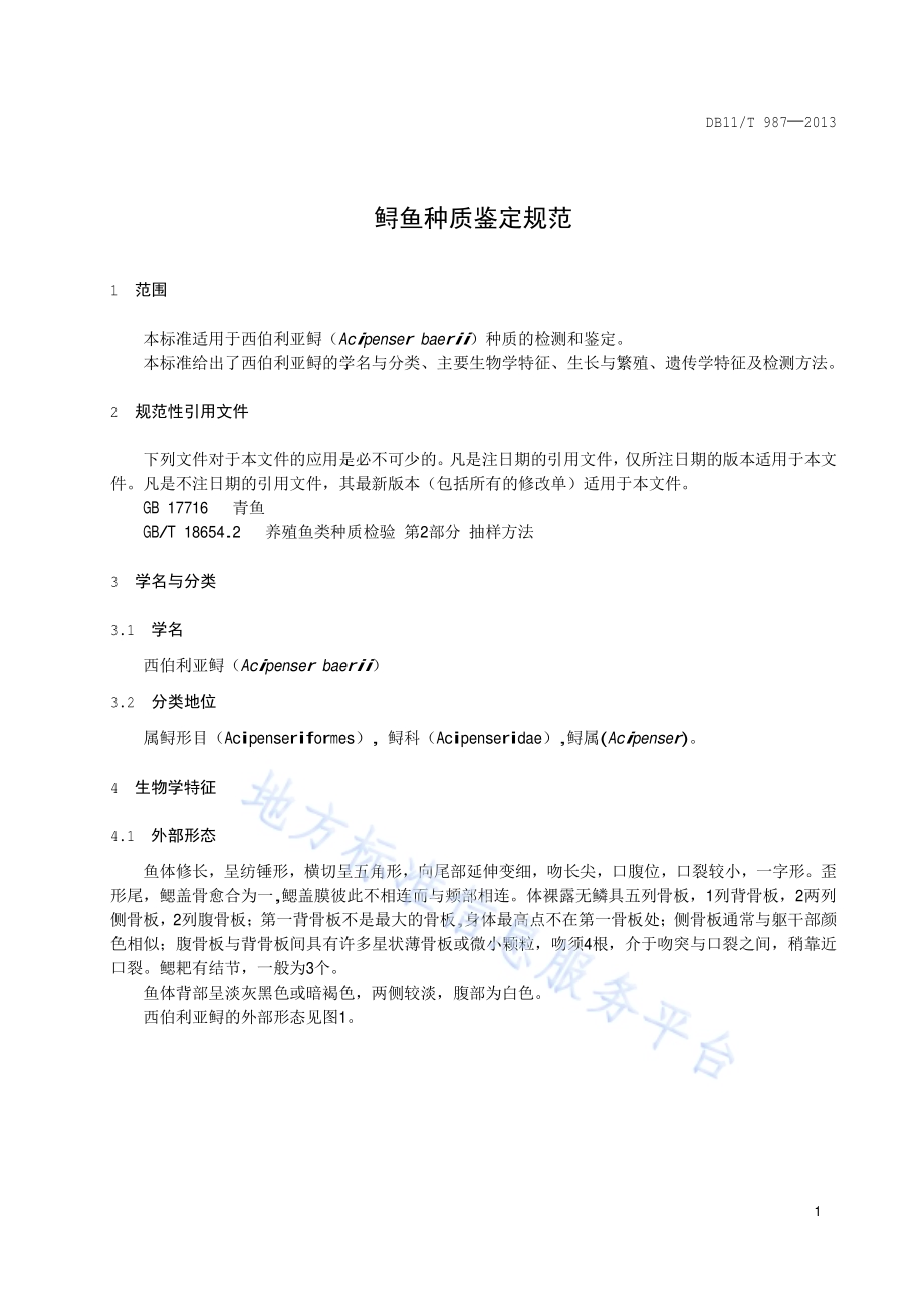 鲟鱼种质鉴定规范DB11／T 987-2013.pdf_第4页