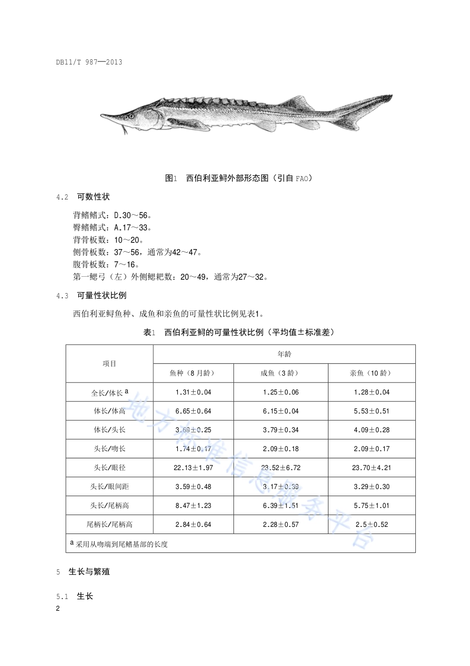 鲟鱼种质鉴定规范DB11／T 987-2013.pdf_第5页