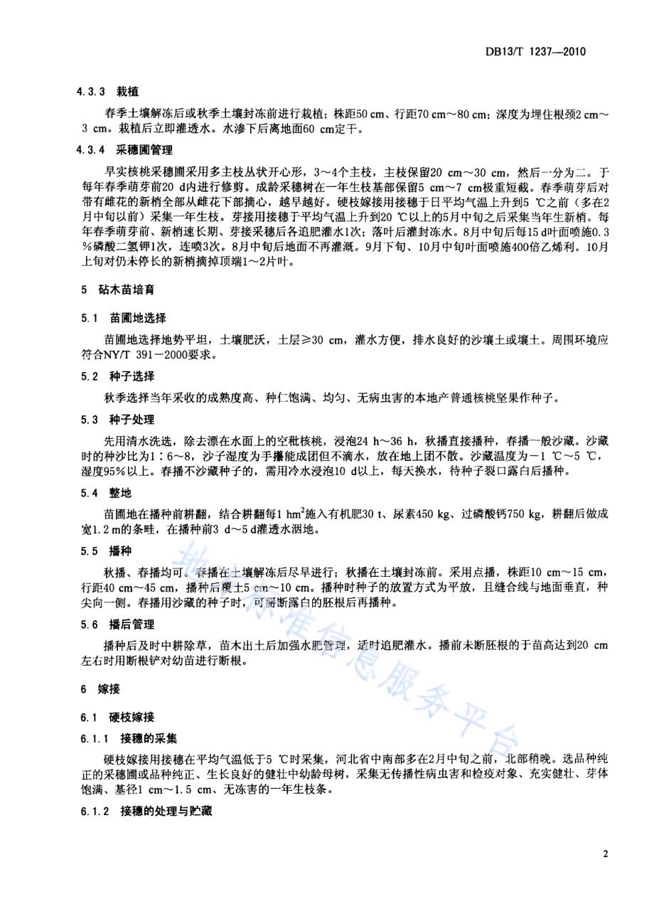 早食核桃苗木培育技术规程DB13／T 1237-2010.pdf_第4页