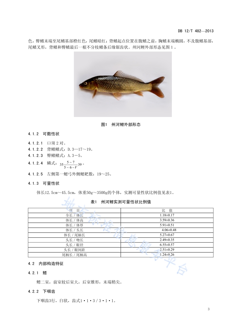 州河鲤DB12／T 482-2013.pdf_第4页